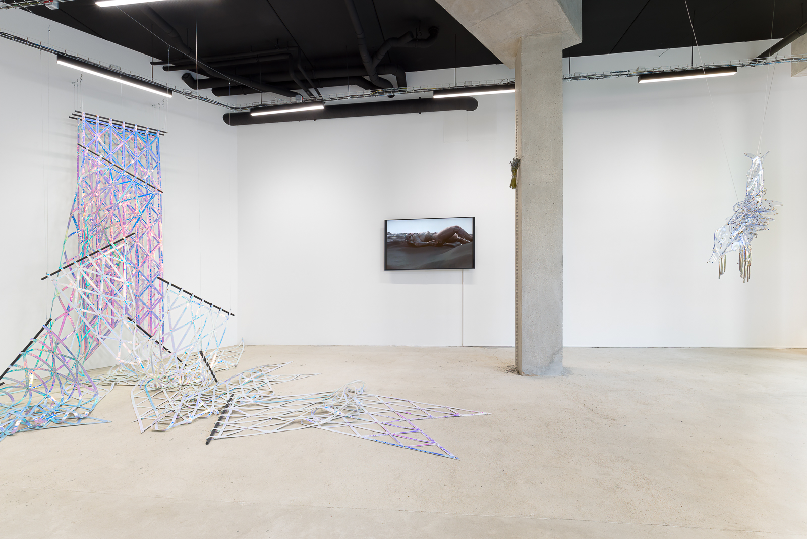 Vue d'exposition, Hypersensibilité, exposition personnelle de Floryan Varennes, courtesy Maëlle Galerie, copyright Jérome Michel
