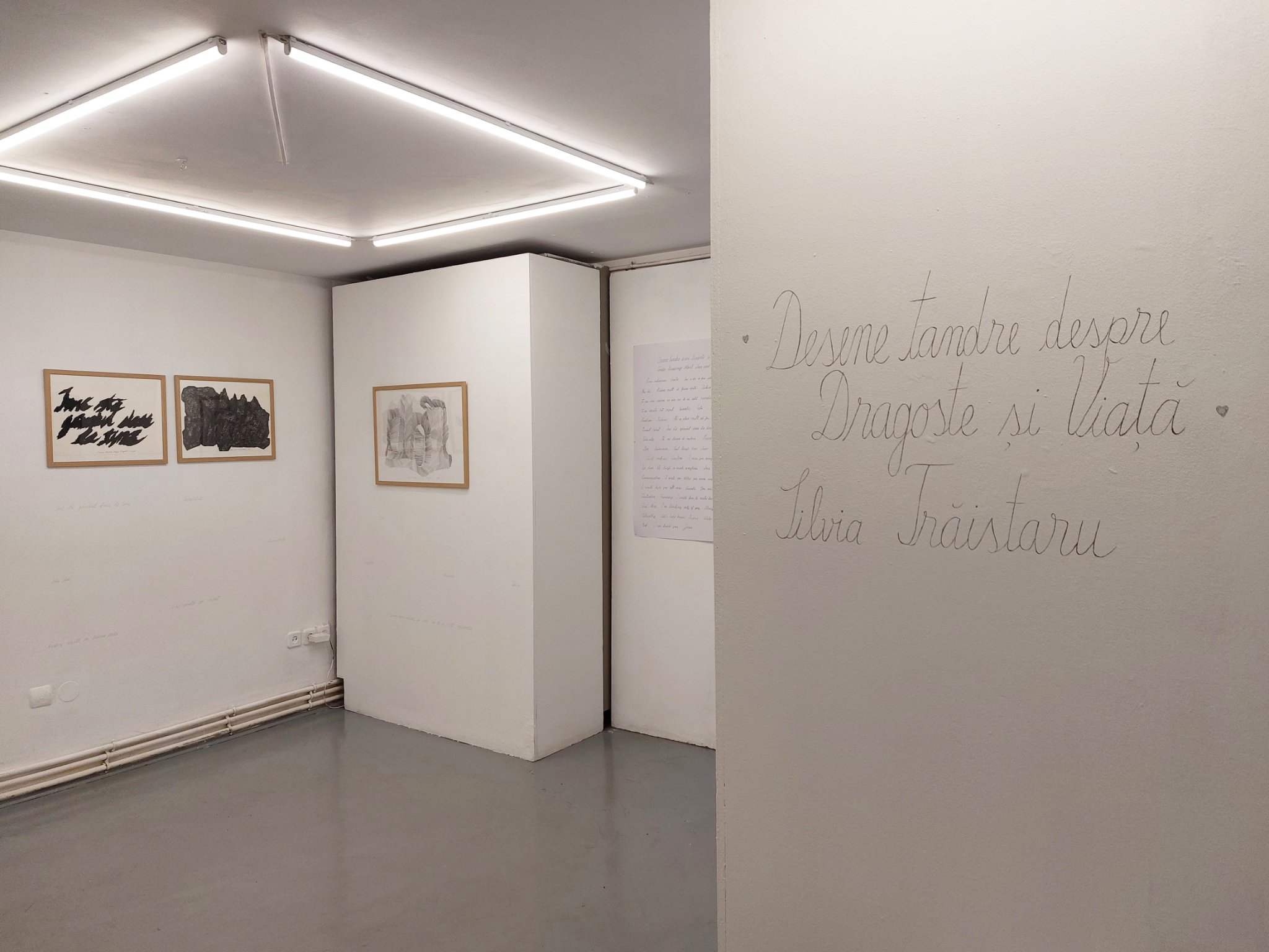 Silvia Traistaru - Tender Drawings About Love and Life