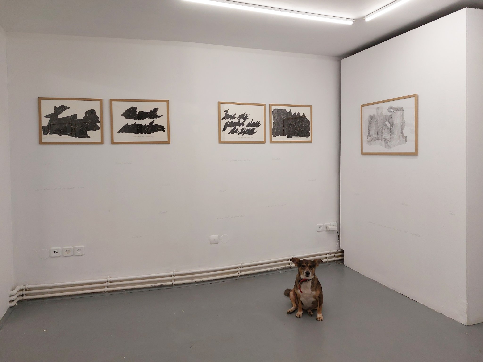 Silvia Traistaru - Tender Drawings About Love and Life