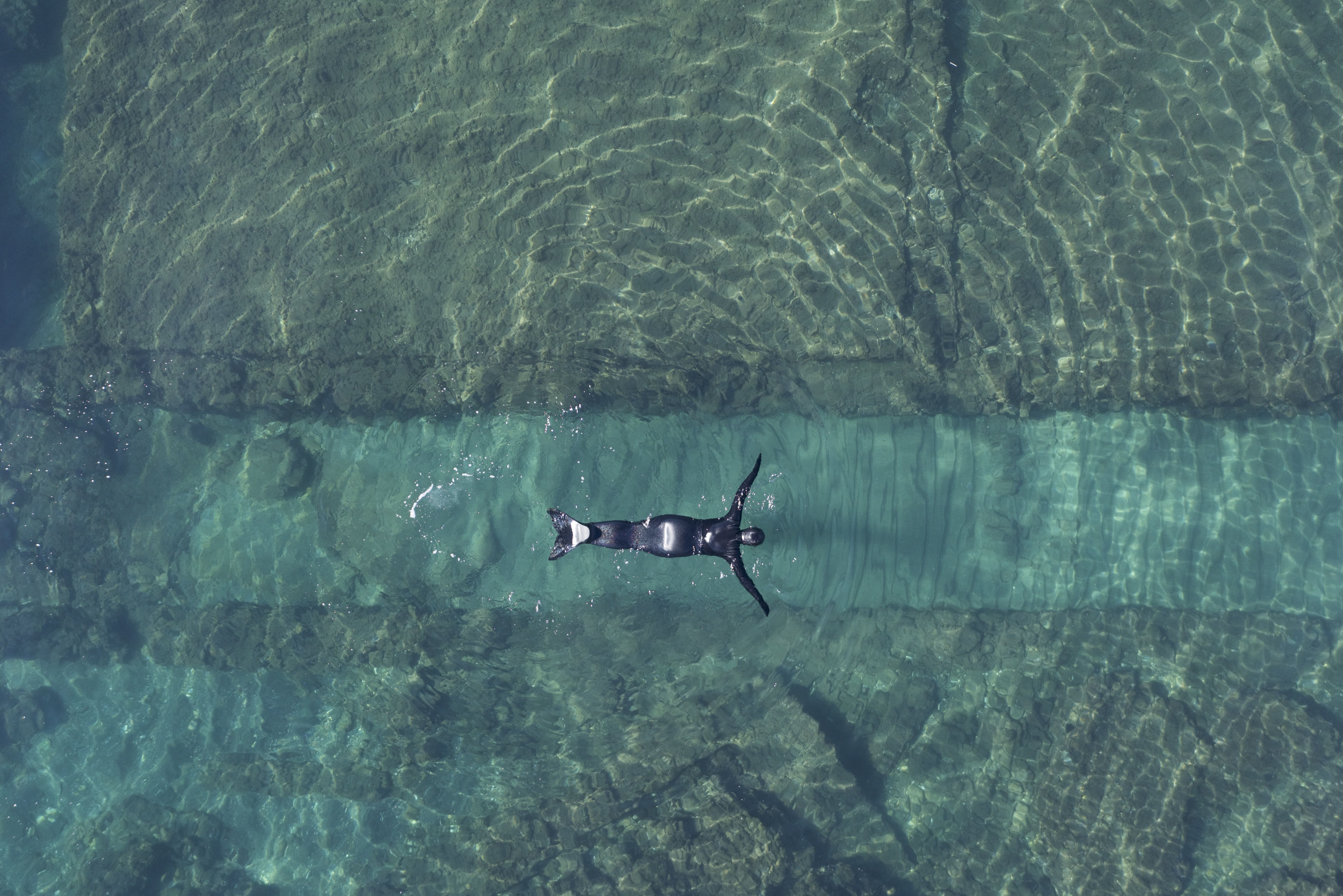 Emilija Škarnulytė, Sunken Cities