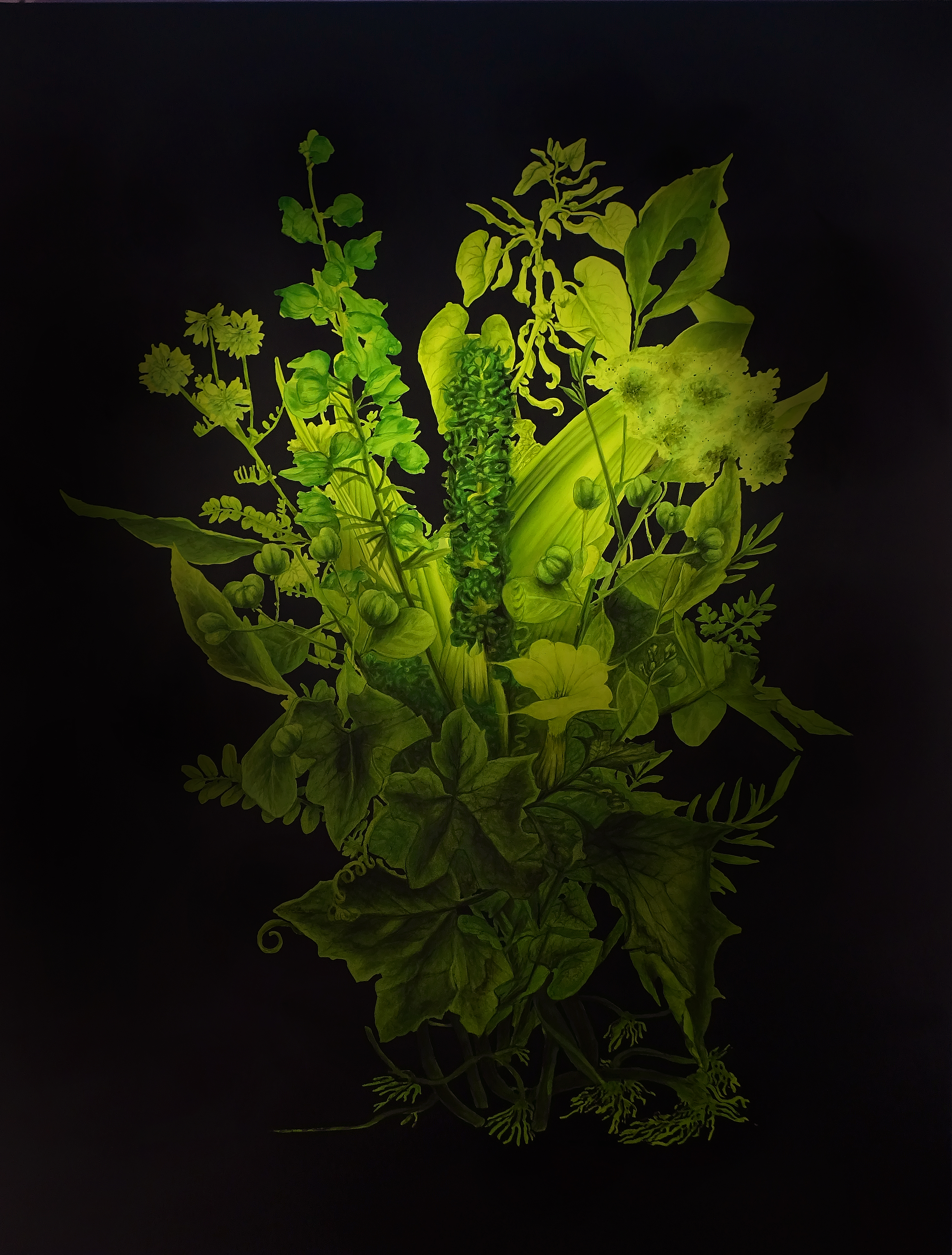 Still Life