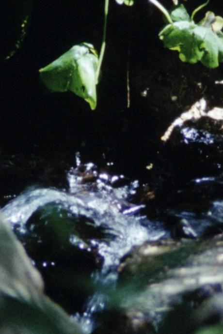 La source
