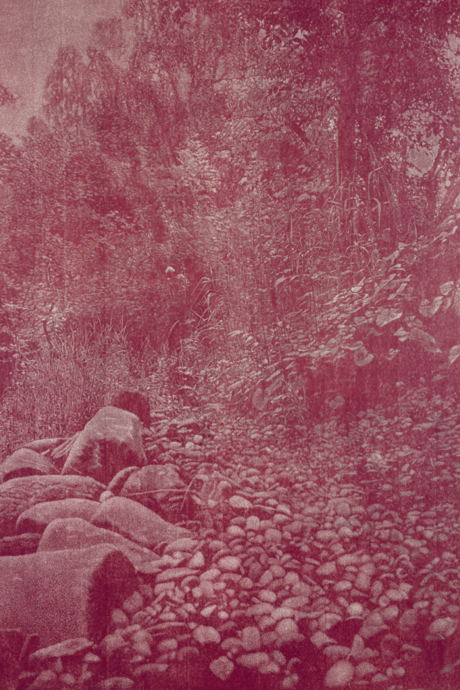 Franz Gertsch (1930–2022), Rüschegg, 1988–1989, gravure sur bois sur papier, 2740 × 2200 mm