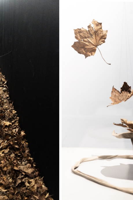 Image de gauche : Un couloir étroit aux parois noires remplies de feuilles mortes brunes qui s’étendent en profondeur, formant un tapis dense. La perspective centrale attire l'œil vers le fond du passage, créant une impression de profondeur et de confinement. L’ambiance est sombre et mystérieuse, évoquant peut-être un passage symbolique ou une installation artistique immersive. Image de droite : Trois feuilles mortes suspendues par des fils presque invisibles semblent flotter dans les airs, au-dessus d’un 