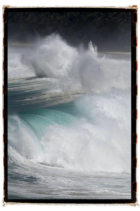 Aline Coquelle, “There is no better designer than Nature”, Alexander Mc Queen, Sumba, Indonesia, 2024