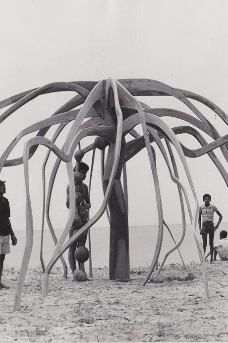 Frans Krajcberg, A flor do mangue, circa 1970. Instituto do Patrimônio Artístico e Cultural da Bahia (IPAC). Photo: Unknown