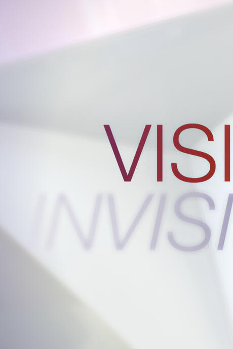 Visible / Invisible