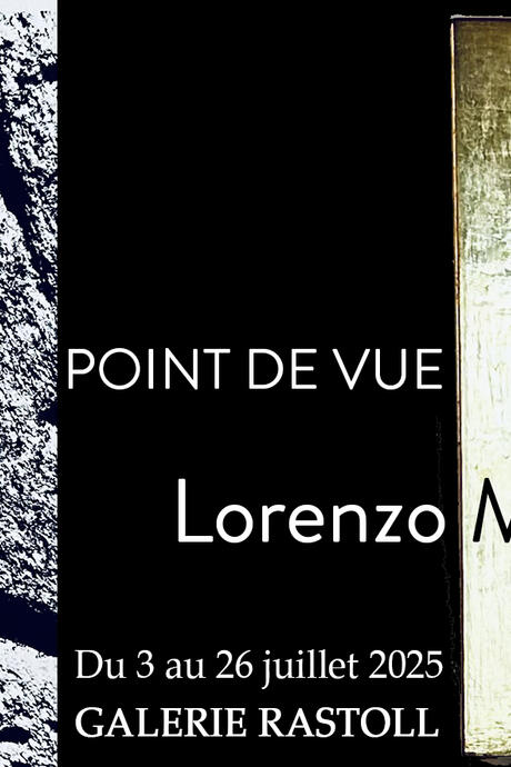 POINT DE VUE par Lorenzo Mardaresco