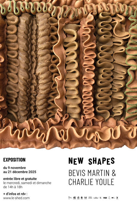 Affiche de l'exposition New Shapes de Bevis Martin & Charlie Youle