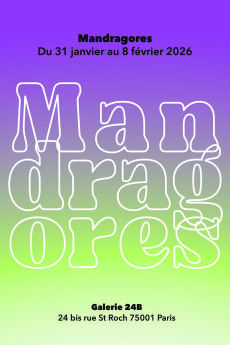 Mandragores sur fond dégradé