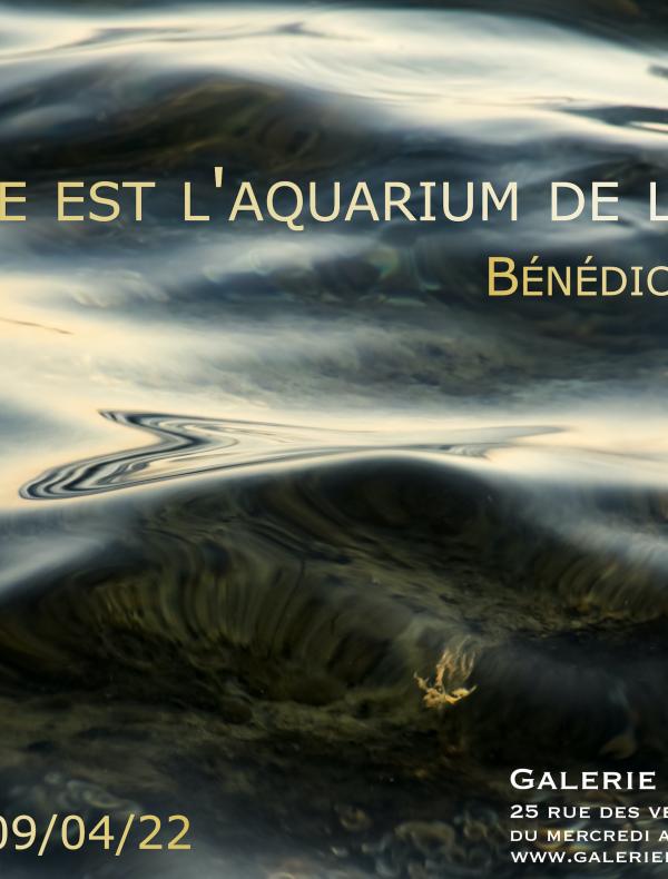 Le rêve est l'aquarium de la nuit