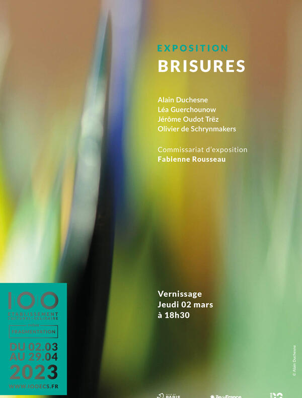 Brisures