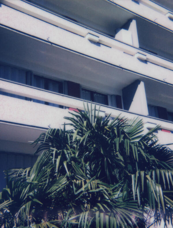 Marie Ouazzani & Nicolas Carrier, Cité palmiers 025, 2021