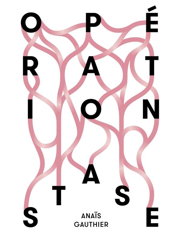 Carton d'exposition "Opération Stase" d'Anaïs Gauthier