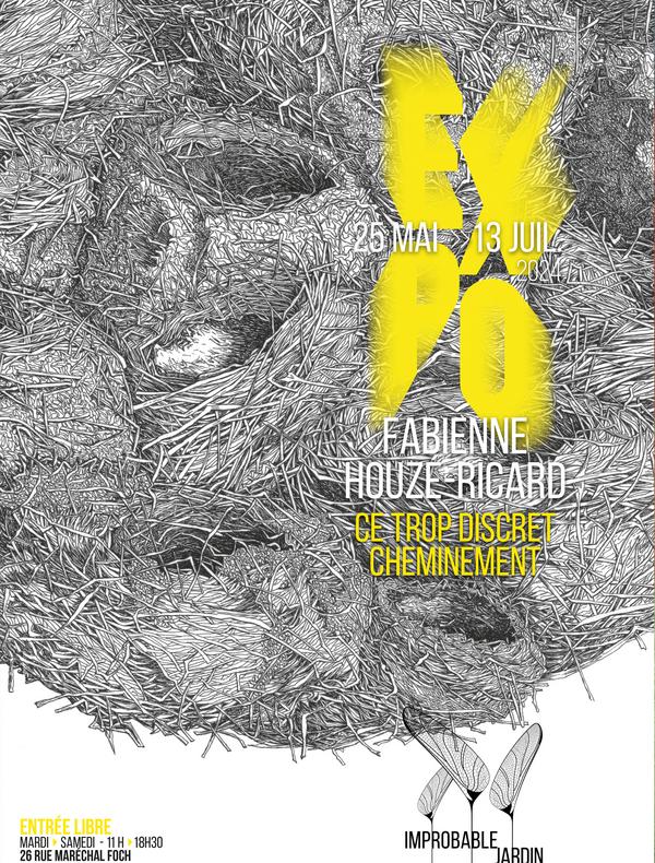 Ce trop discret cheminement - Fabienne Houzé-Ricard