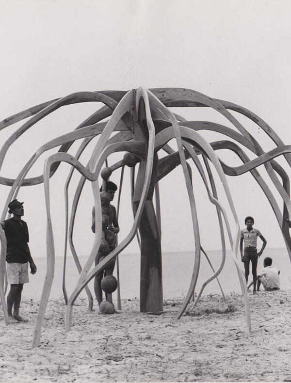 Frans Krajcberg, A flor do mangue, circa 1970. Instituto do Patrimônio Artístico e Cultural da Bahia (IPAC). Photo: Unknown