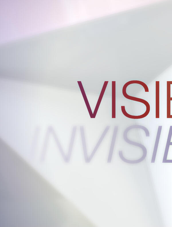 Visible / Invisible
