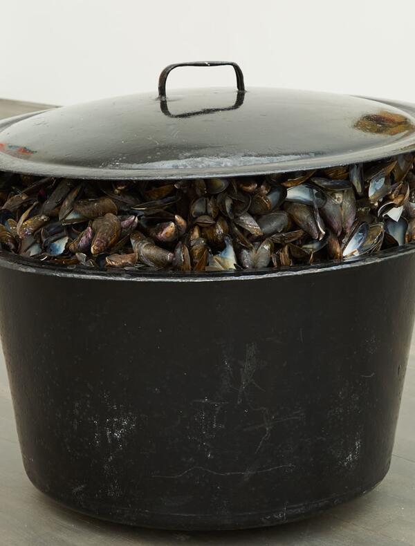 Grande casserole de moules