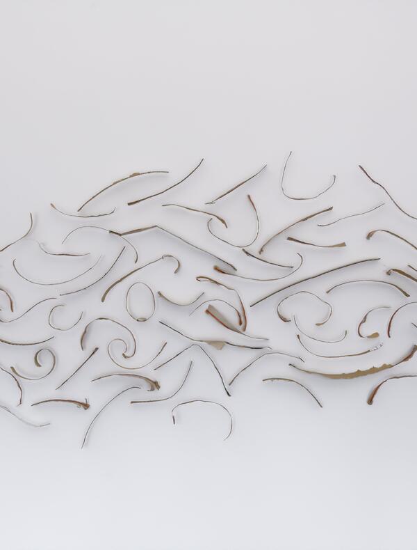Pieces of tear strips from cardboard packaging are arranged to form the shape of a cloud.