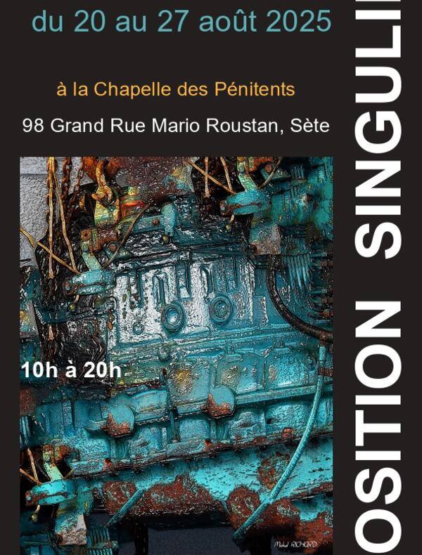 affiche exposition singulière
