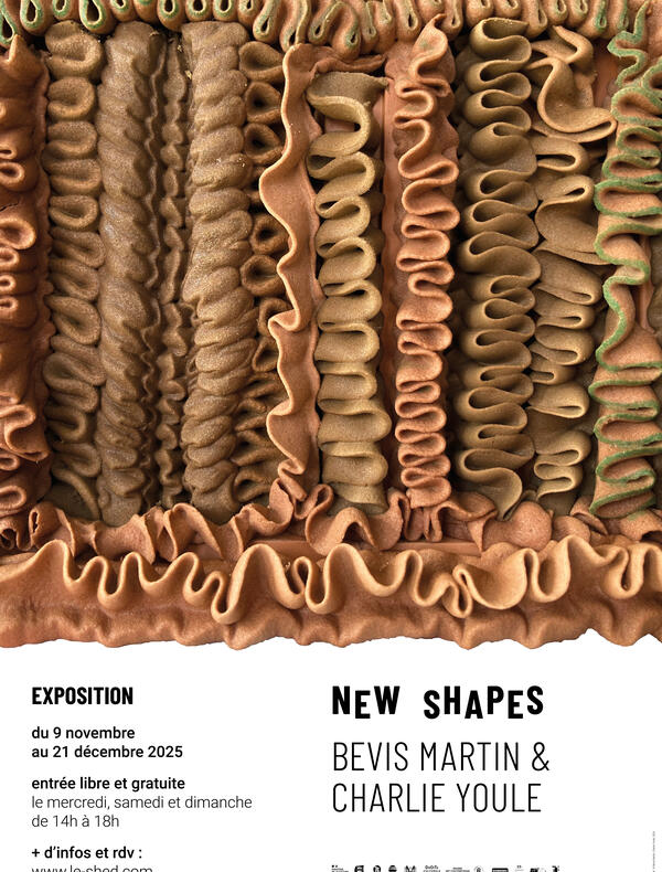 Affiche de l'exposition New Shapes de Bevis Martin & Charlie Youle