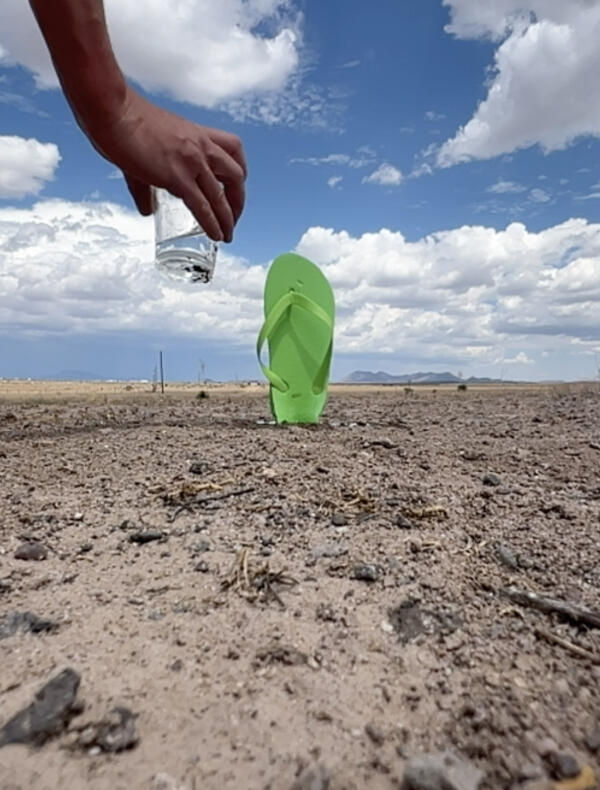 Donner un verre d'eau au désert chaque jour