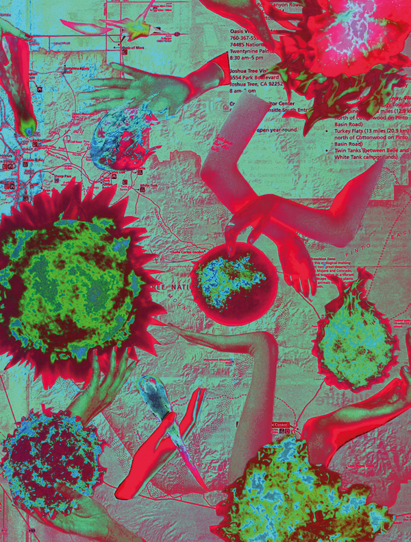 Affiche de l'exposition