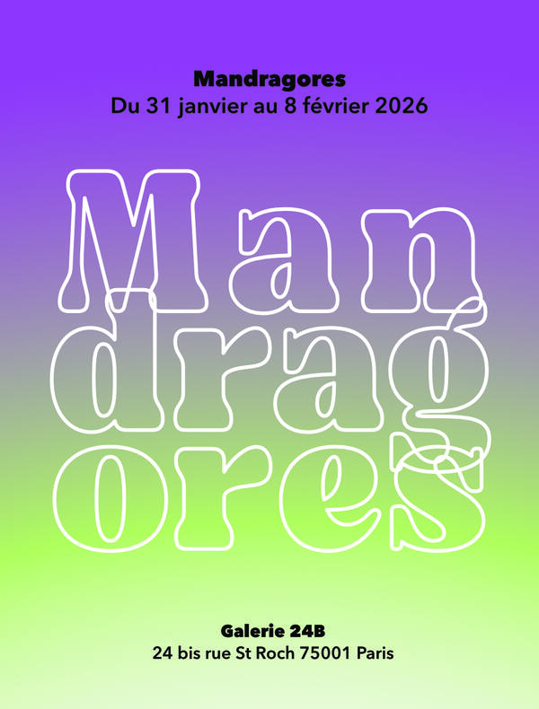 Mandragores sur fond dégradé