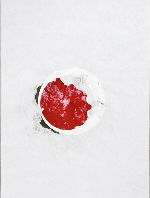 oeuvre de Gudny Rosa Ingimarsdottir