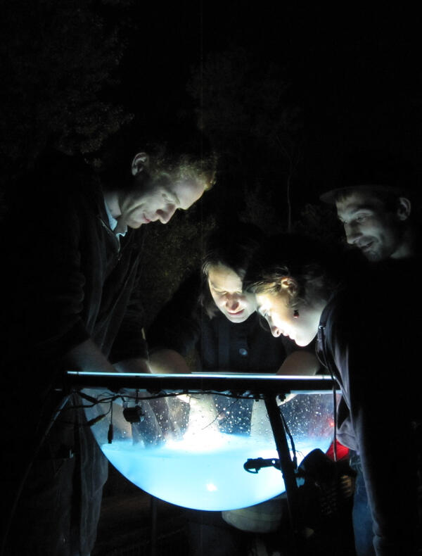 EAULÀ, Installation audiovisuelle immersive – 2010