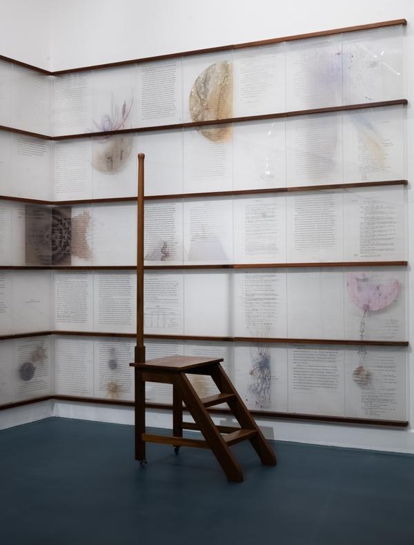 Jitish Kallat - Lunar Redux - Photo © Akik Rahaman