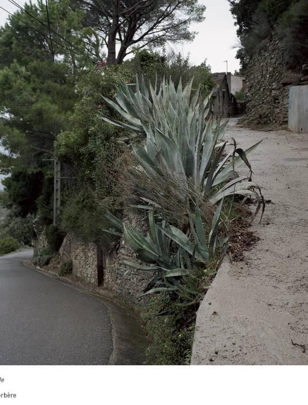 Â©FranÃ§ois DeladerriÃ¨re