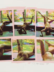 Carolee Schneemann, Forbidden Actions - Museum Window Carolee Schneemann, Forbidden Actions - Museum Window