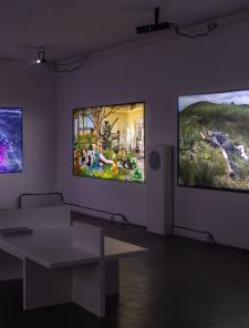 Les Nouveaux Classiques, vue d'exposition