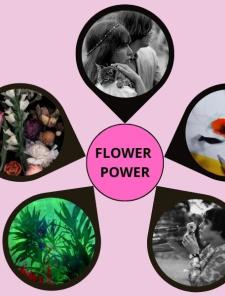 Flower Power
