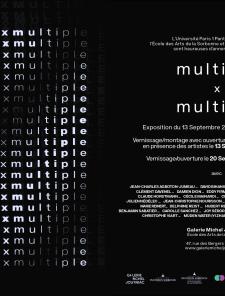 Exposition Multiple x Multiple 13/09 - 22/10 Galerie Michel Journiac
