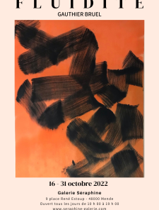 Exposition de Gauthier Bruel