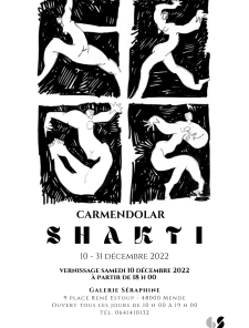 Exposition « Shakti » - CarmenDolar