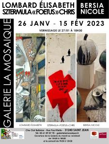 Exposition Elisabeth Lombard, Chris "Foetus" Sztermula & Nicole Bersia à la Mosaïque. Crédit visuel ; Olivier Giner / La Mosaïque