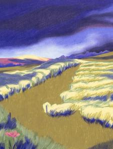 Les vignes - Clara Debray