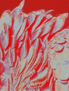 Jean-Marc Savic, image extraite du film Les Climats II, 2011