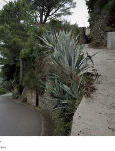 ©François Deladerrière ©François Deladerrière