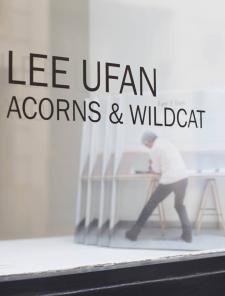 Lee Ufan Acorns & Wildcat Lee Ufan Acorns & Wildcat