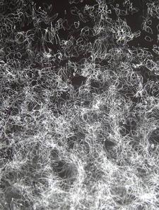 visualisation_musicale_du_morceau_chant_de_vision_i-thomas_leclere-d_galerie visualisation_musicale_du_morceau_chant_de_vision_i-thomas_leclere-d_galerie