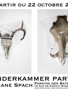 Wunderkammer Part.II