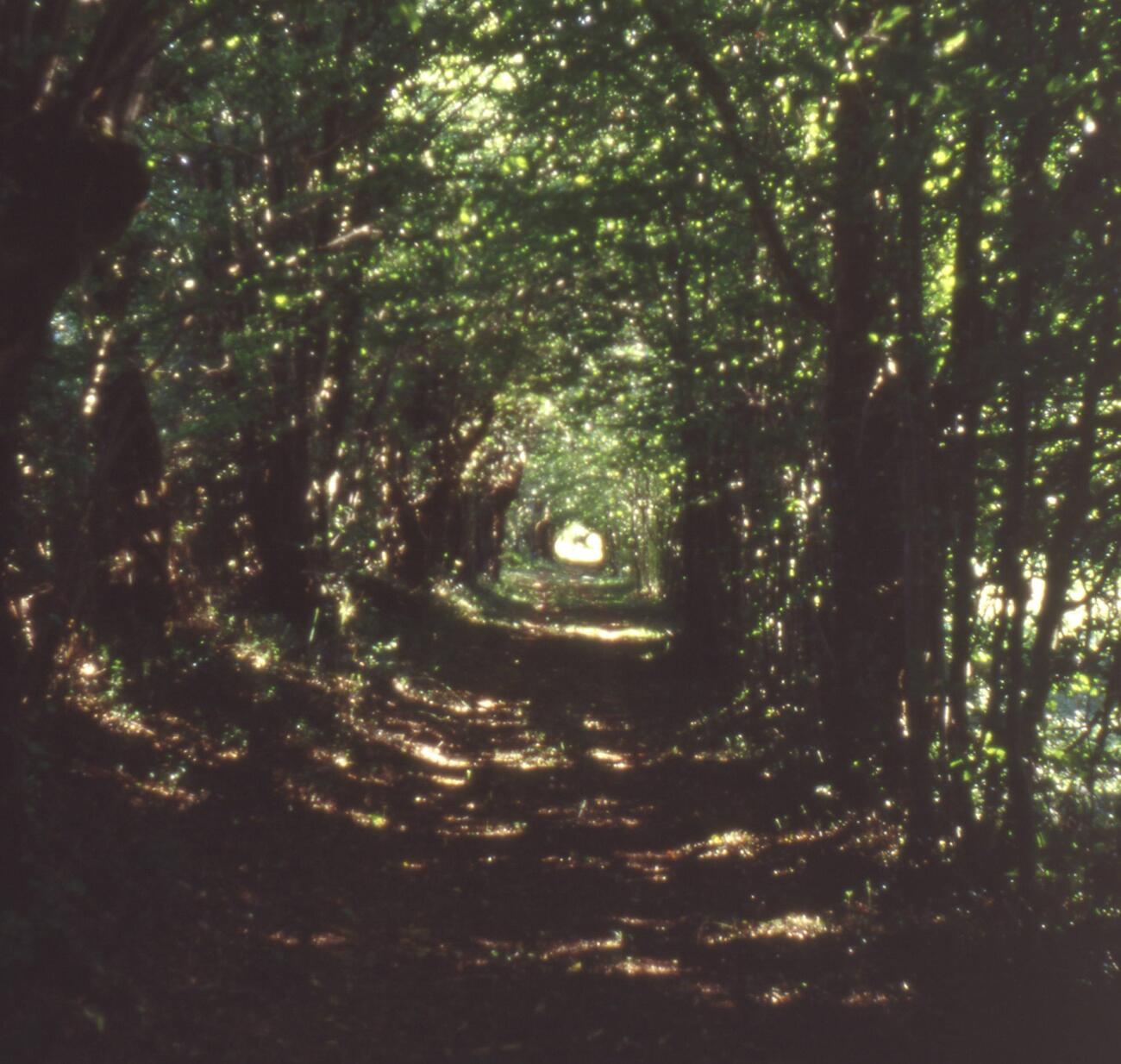 bernadette delrieu, Chemins n°04