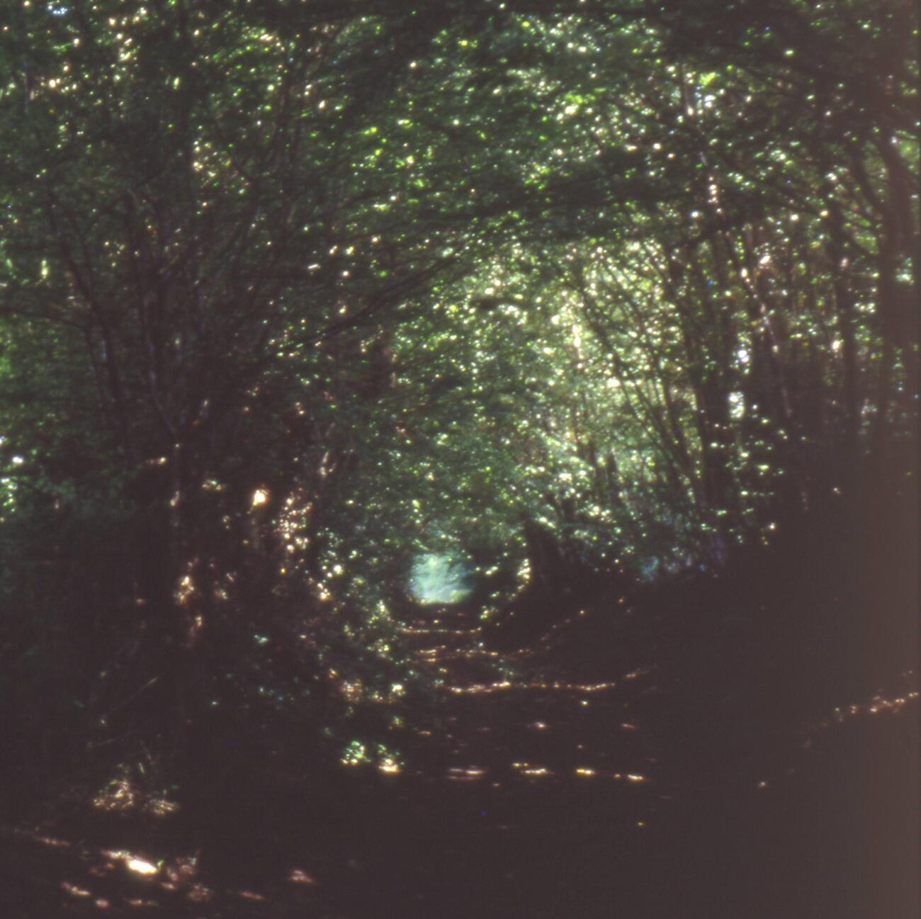 Bernadette Delrieu, Chemins No6