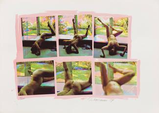 Carolee Schneemann, Forbidden Actions - Museum Window