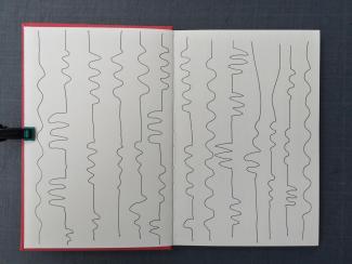 Henri Foucault, carnet