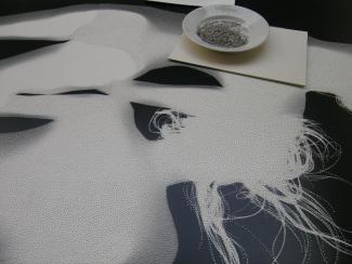 Atelier de Henri Foucault, Satori en cours de production avec photogramme et épingles